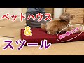 愛犬のトイプードルと一緒にペットハウス＆スツールを作ってみた！！
