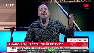 Çift Jandarma Geliyor – Turgay Coşkun Resimi