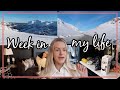 A Week In My Life 2021 ♡ House Update, Organize &amp; Snowboard Vacay