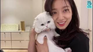 Download lagu Park Shin Hye Vlive[17.04.2021]