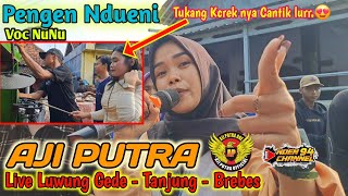 Download lagu Pengen Ndueni - Voc NuNu ❗️❗️❗️ Burok Aji Putra Live Luwung Gede Brebes