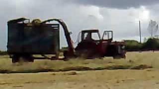 Silage 2009