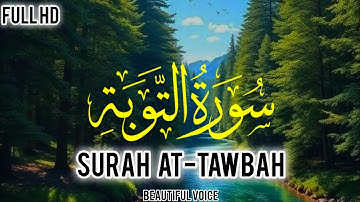 Surah Tawbah سورة التوبة | Surat Tawba  Touch your Heart  إن شاء الله | ‎@Msadeeq059