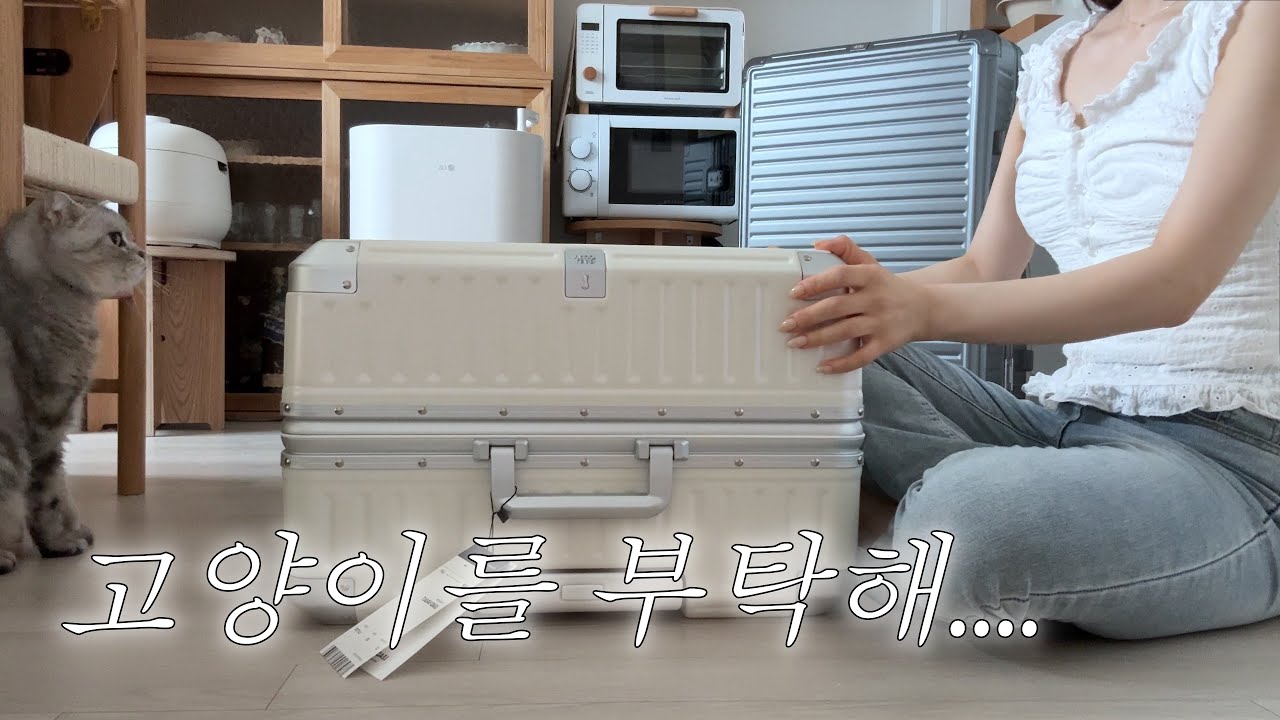 w.7 리드볼트 오딧 캐리어 29인치, 두잇 고양이 자동급식기, 성수 이로스타일 웨딩슈즈, 대구 메리어트호텔 🛌 🍽 누노마 웨딩촬영 D-2 👰🏻‍♀️🤵🏽결혼 준비 브이로그