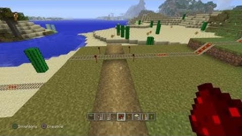 Minecraft Level Crossing