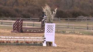 Pre-Childrens Hunter Over Fences