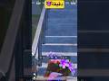 معلش بقا يا ريم Pubgmobile معلش بقا يا ريم Pubgmobile