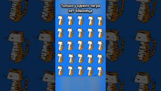 Only one tiger doesn't have a twin #funny #reels #viral #trending #тестнавнимательность #shorts