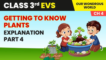 Getting to Know Plants - Explanation (Part 4) | Class 3 Environmental Studies Chapter 4 | CBSE 2025