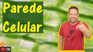 Parede Celular - revestimento da Membrana - Funções e Tipos - Membrana Plasmática - Citologia