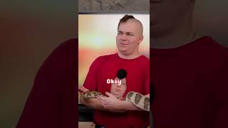 Steak and Kreekcraft hold a snake, but hes chill python 🐍 #mayahiga #alveus #steak #kreekcraft