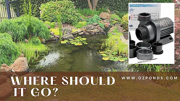 Where should you position your pond pump?
