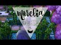 AC:NL Dream Town Tour: Morelia