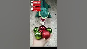 Cat Barsik Beads 🌈🌳🍭 Reverse video #funnyreversecat #cat #funny