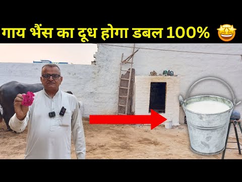 गाय भैंस का दूध बढ़ाने का रामबाण देसी फॉर्मूला | Increase cow buffalo milk for free