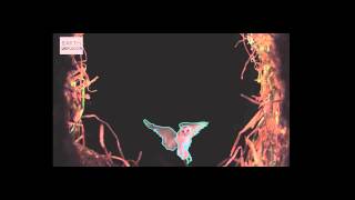 Motion Graphic of Eagle
