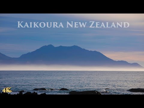 Driving Kaikoura South Island New Zealand | Town Centre | Coastal drive | New Zealand Tour 4K 2021