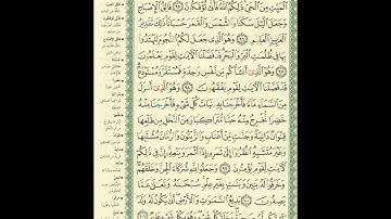 الورد اليومى.. سورة الأنعام من الاية 95 الى الاية 101 بصوت القارئ الشيخ ياسر الدوسرى