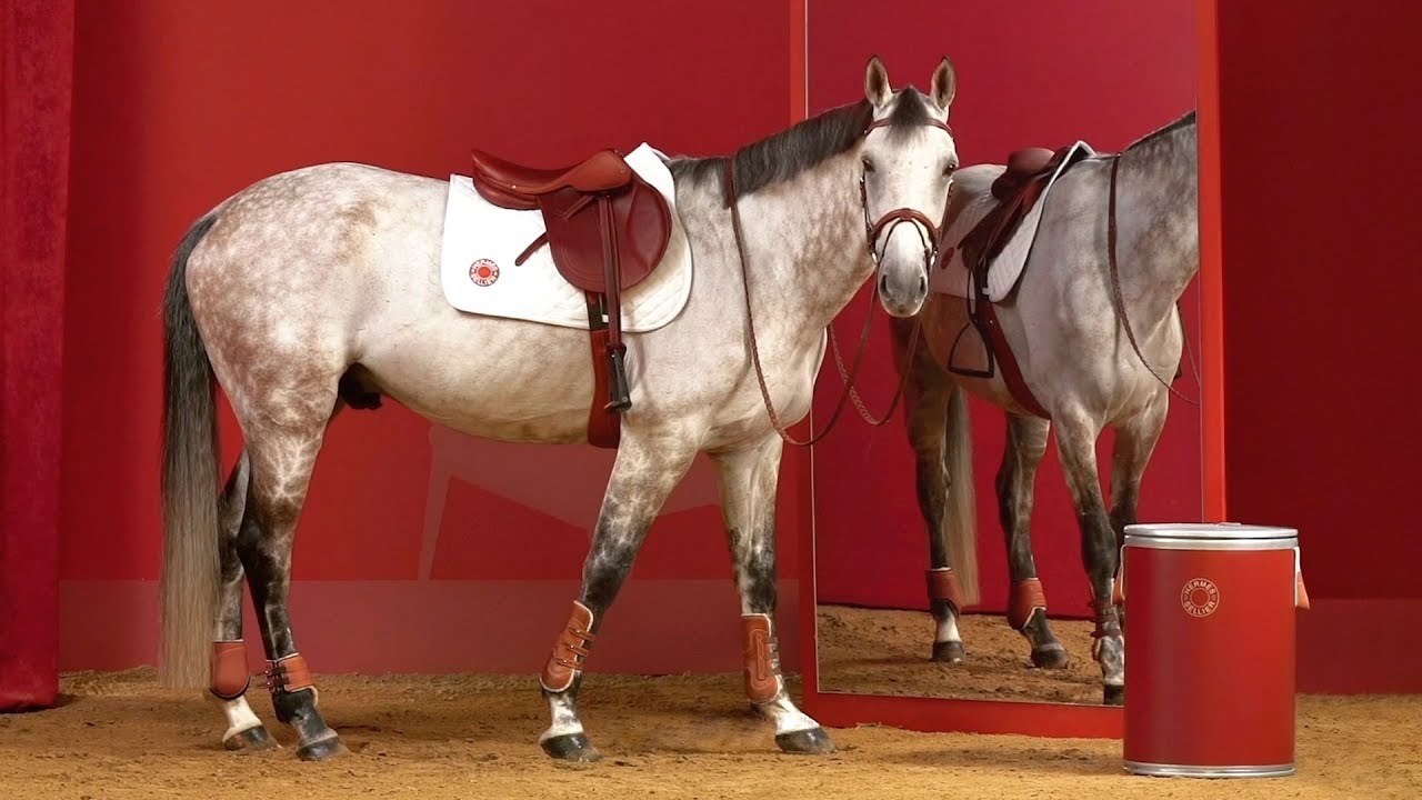 Hermès Un service sellier surmesure YouTube