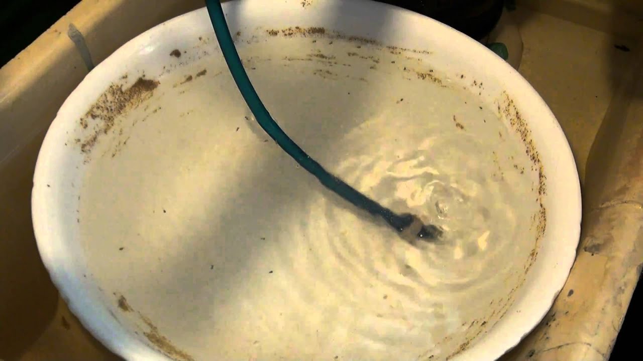 Artificially Raising Discus Fry - Gwynnbrook Farm