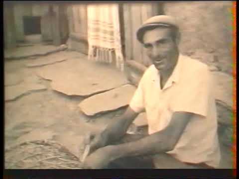 Vignette du reportage Village de centuri 1955
