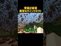 常識が完全に崩壊しているマインクラフト