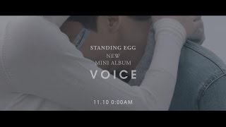 Video thumbnail of "STANDING EGG - VOICE teaser"