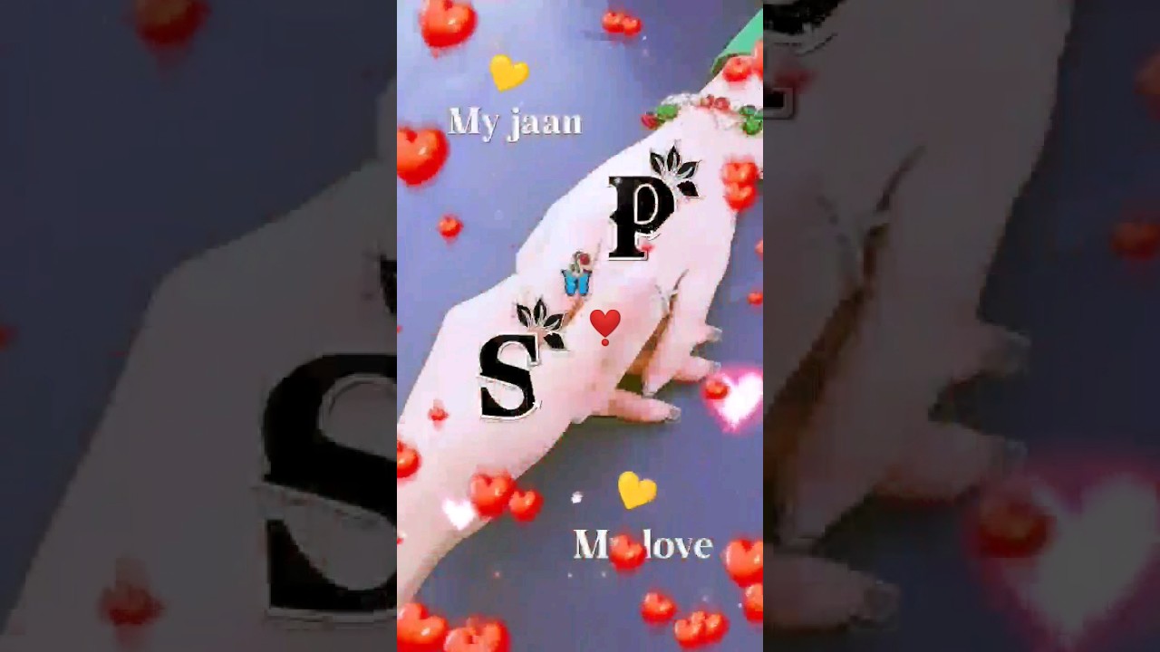 S And P Name Letter love status