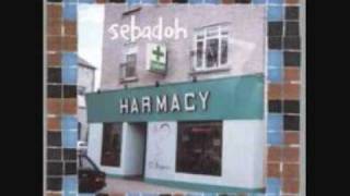 Sebadoh Hillbilly II