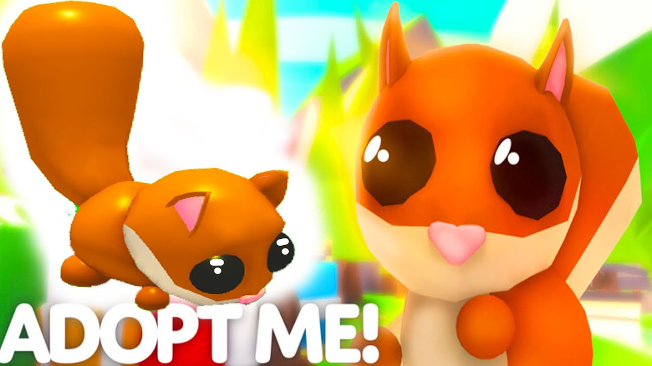 NEW Red Squirrel Pet in Adopt Me