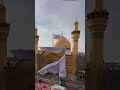 المعجزة التي حدثت في مرقد أمير المؤمنين انظر ماذا حدث للستار وكيف ازيل اكسبلور يافاطمه لايك 