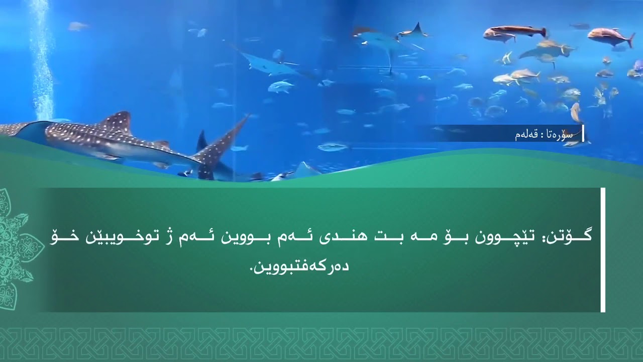 تفسیرا سوورەتا القَلَم1080p