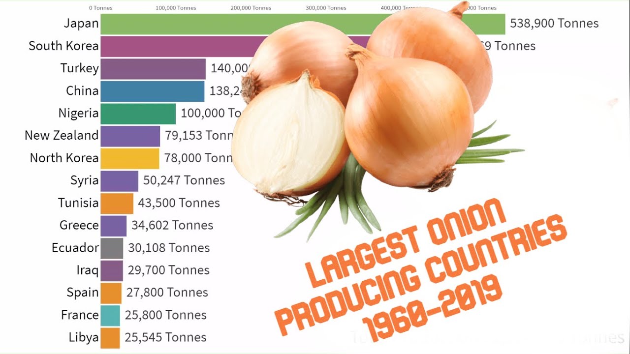 Largest Onion Producing Countries in the World 19602019 YouTube
