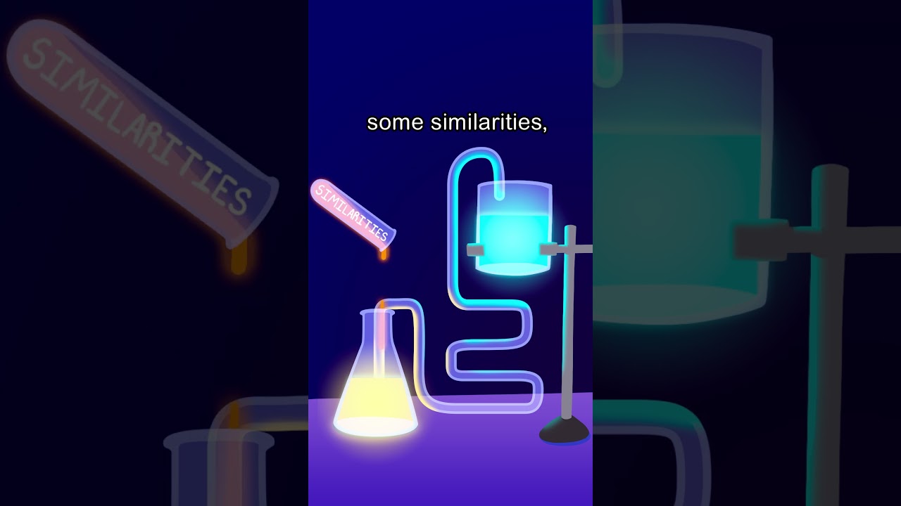 How To Attract Someone 