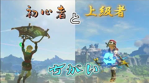 ゼルダの伝説ブレスオブザワイルド初心者上級者の違い