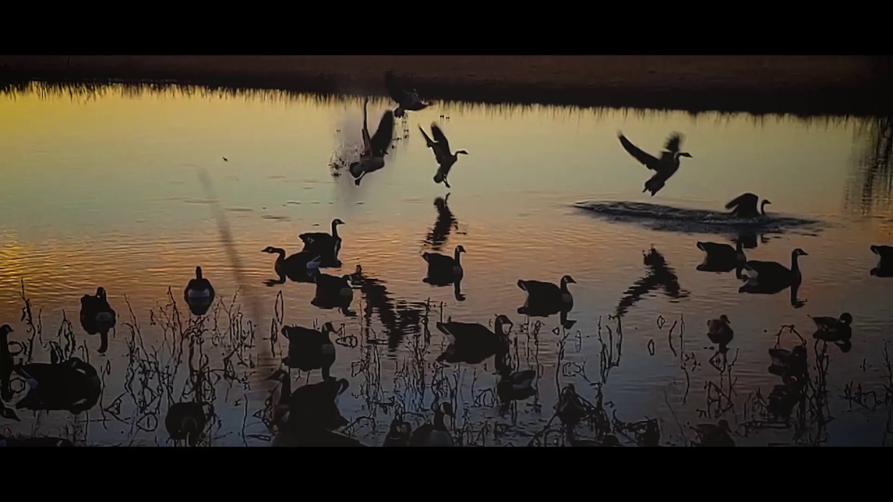 NCK Outfitters | Waterfowl Hunting North Central Kansas