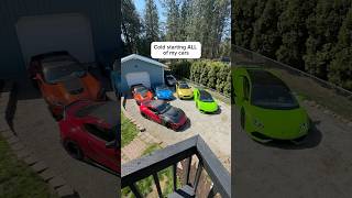 My neighbors are lucky