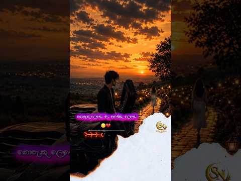 නොපැතූ ලෙසේ මා...නොසිතූ ලෙසේ..💔😔 | mal mal vile ron soya | sinhala covered