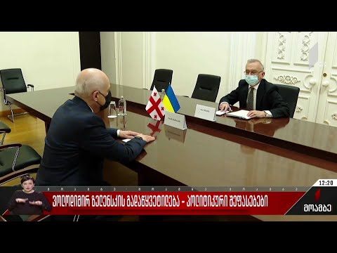 ვოლოდიმირ ზელენსკის გადაწყვეტილება -პოლიტიკური შეფასებები