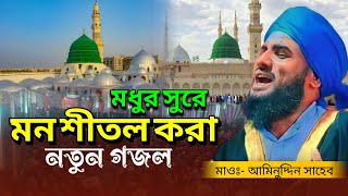 হৃদয় কাঁপানো একটি নতুন গজল | মে মাদিনে চালা Maulana Aminuddin Saheb