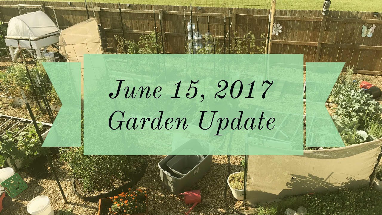 June 15, 2017 Late Spring Garden Update/Tour (Urban Zone 7 Oklahoma Backyard Farm)