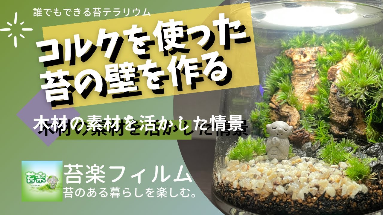 コルクを使った苔の壁を作る【苔テラリウム制作動画】 - YouTube