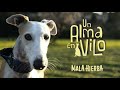 MALA HIERBA - VIDEO CLIP