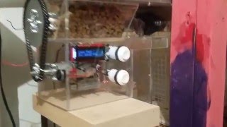 Raspberry Pi Automatic Cat Feeder