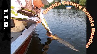 Oneida County Three Double Musky Days in a Row!!!! Pt. 1.