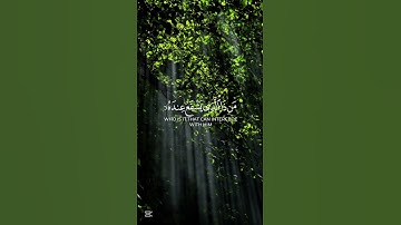 الله لا إله الا هو الحي القيوم #تلاوة_هادئة #تلاوة_خاشعة
