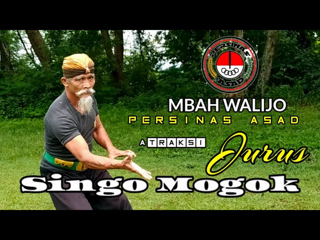 the attraction of the traditional martial arts stance of mbah walijo persinas asad class=