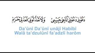 SHOLAWAT DAUNI - NURUL MUSTHOFA