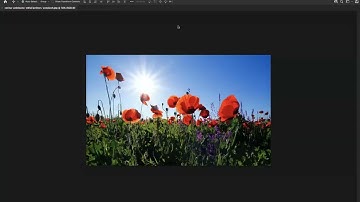 The Difference Between Image and Canvas Size - Adobe Photoshop