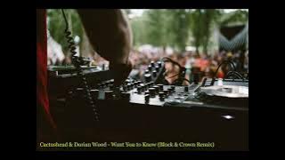 Cactushead & Dorian Wood - Want You to Know (Block & Crown Remix)
